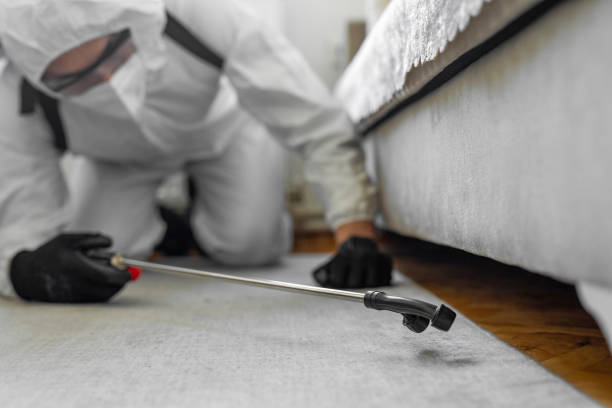 Professional Pest Control technician working in Pickens County County, GA